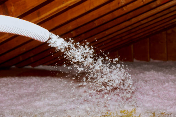 Best Commercial Insulation in Minneota, MN